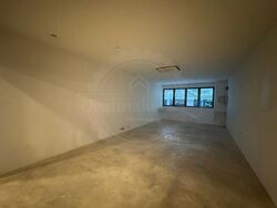 Icon @ Pasir Panjang (D5), Shop House #533679871